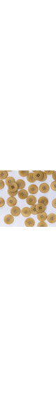 Suspender buttons flat 4 holes in Corozo nut 18mm