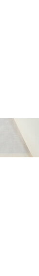 Lightweight Calico, 100% cotton