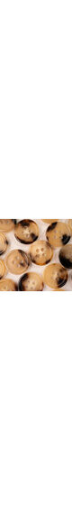 4 holes horn button 25% mottled 15mm (24L)