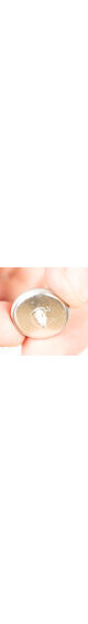 15mm blazer button, nickel finish
